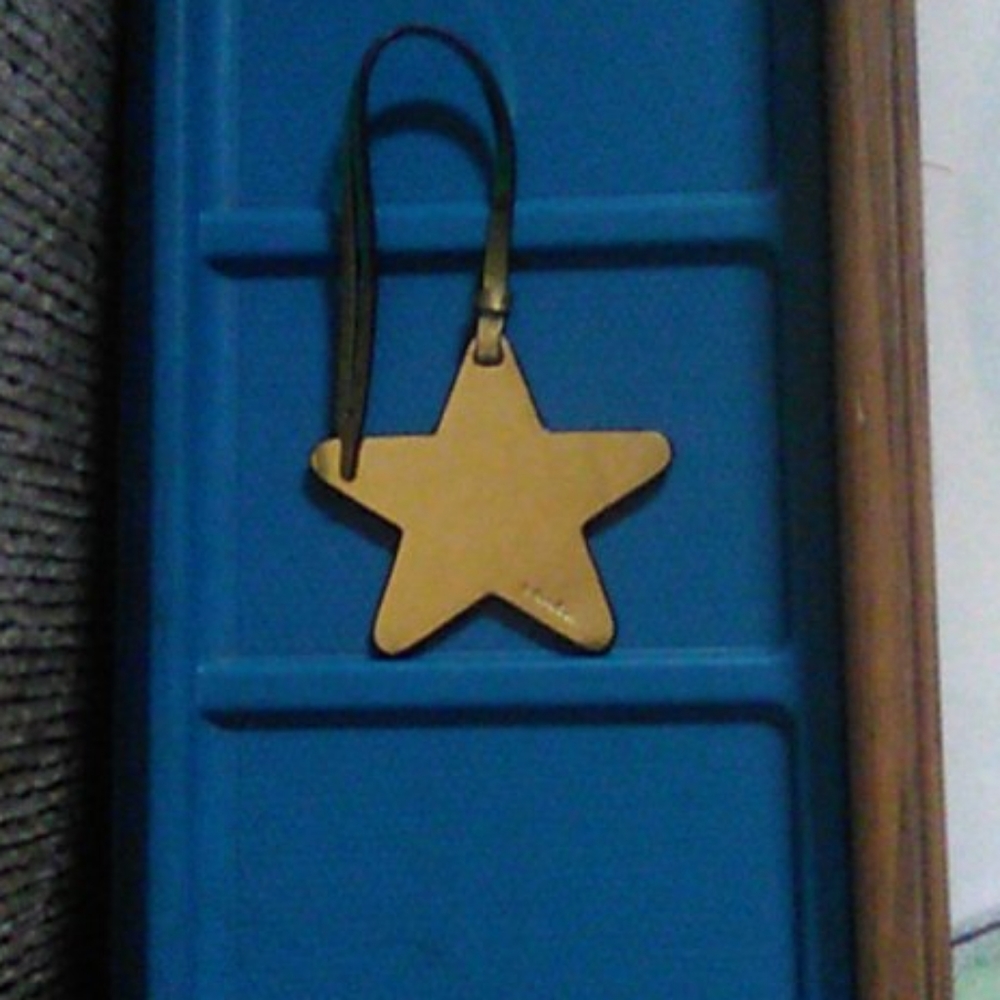 Authentic Golden shiny Coach Star FOB !